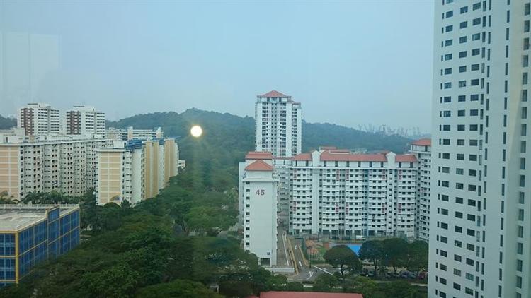 Skyline Residences (D4), Condominium #165202832